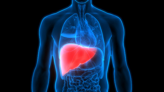 Is Capsaicin Good For Your Liver.png
